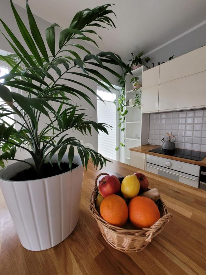 Maciejkowa Apartment Szczecin Ngoại thất bức ảnh